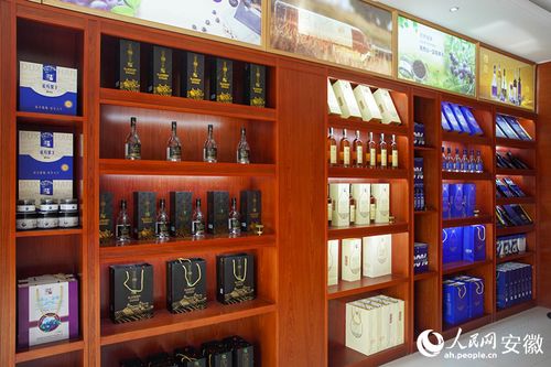 新征程江淮行｜安徽懷寧 勾勒“莓”好藍(lán)圖，科技助力鄉(xiāng)村振興